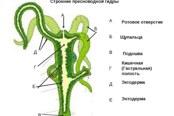 Kraken сайт tor