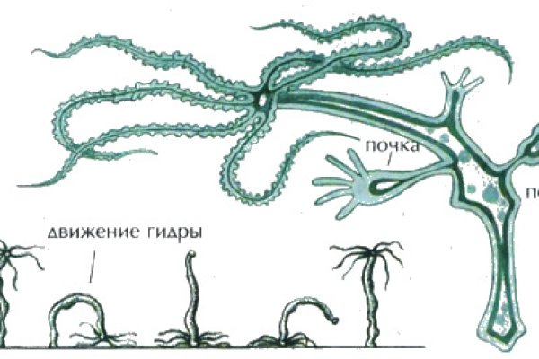 Кракен маркет онион